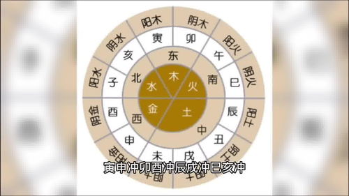 十神四柱八字排盘 命格