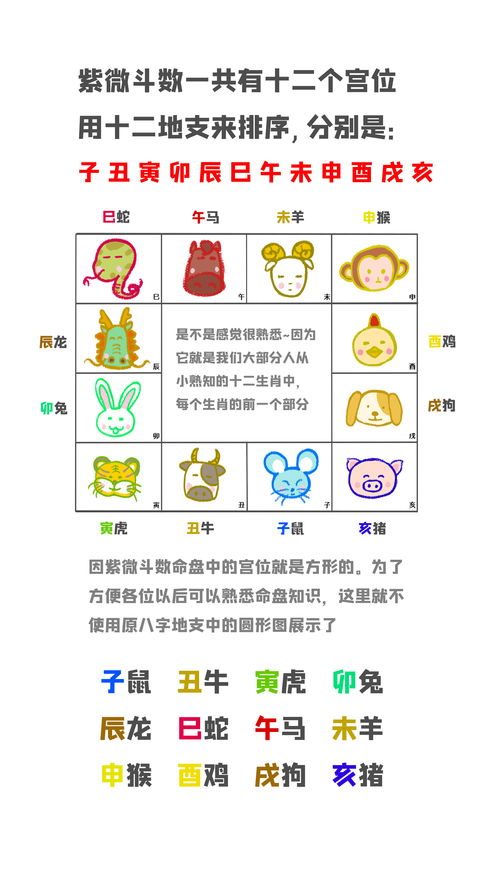 紫微星盘八字(紫微星盘在线查询详解)